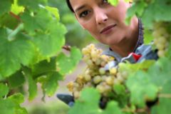 Providing seasonal labour
